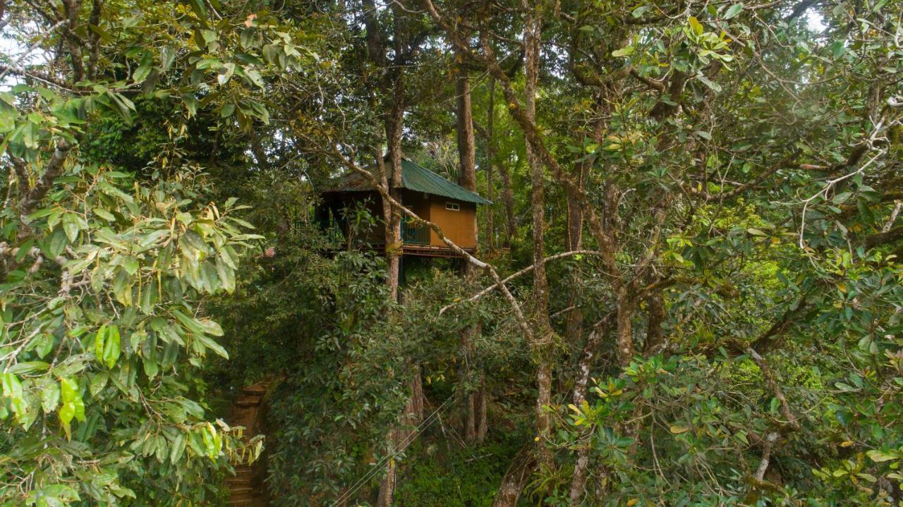 Ela Ecoland Nature Retreat Munnar Exterior foto
