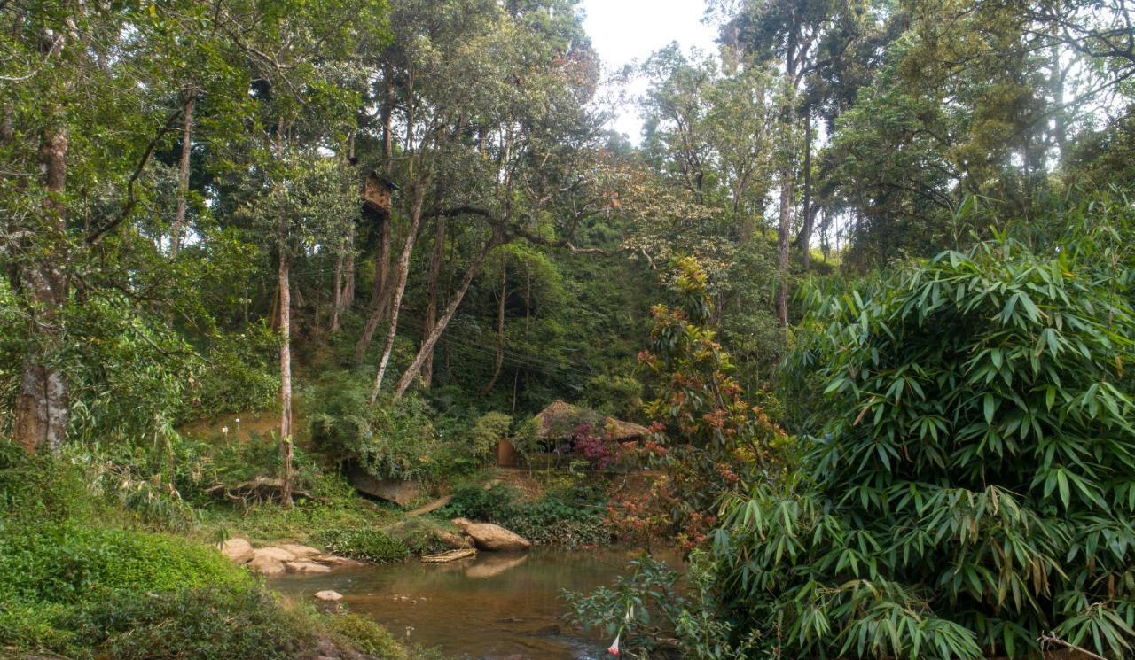 Ela Ecoland Nature Retreat Munnar Exterior foto