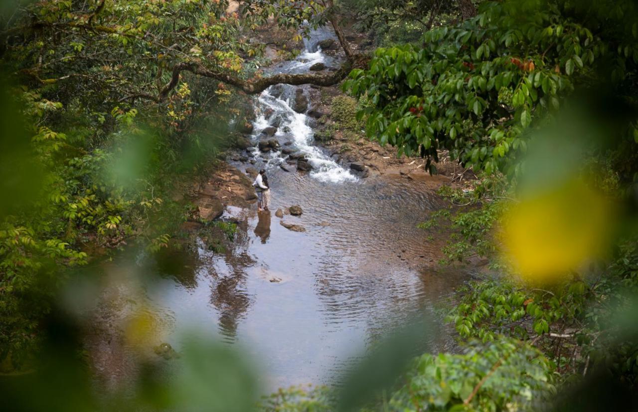 Ela Ecoland Nature Retreat Munnar Exterior foto