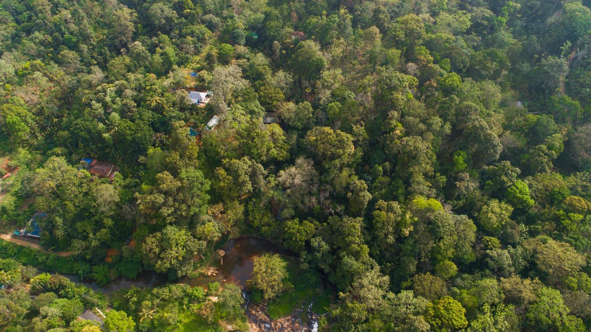 Ela Ecoland Nature Retreat Munnar Exterior foto