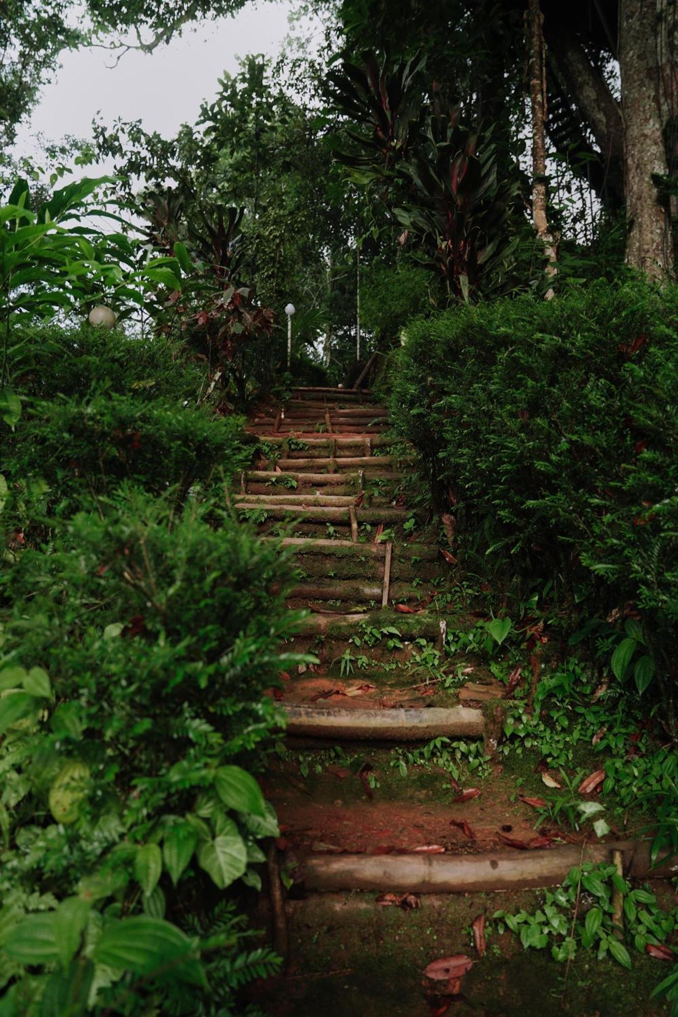 Ela Ecoland Nature Retreat Munnar Exterior foto