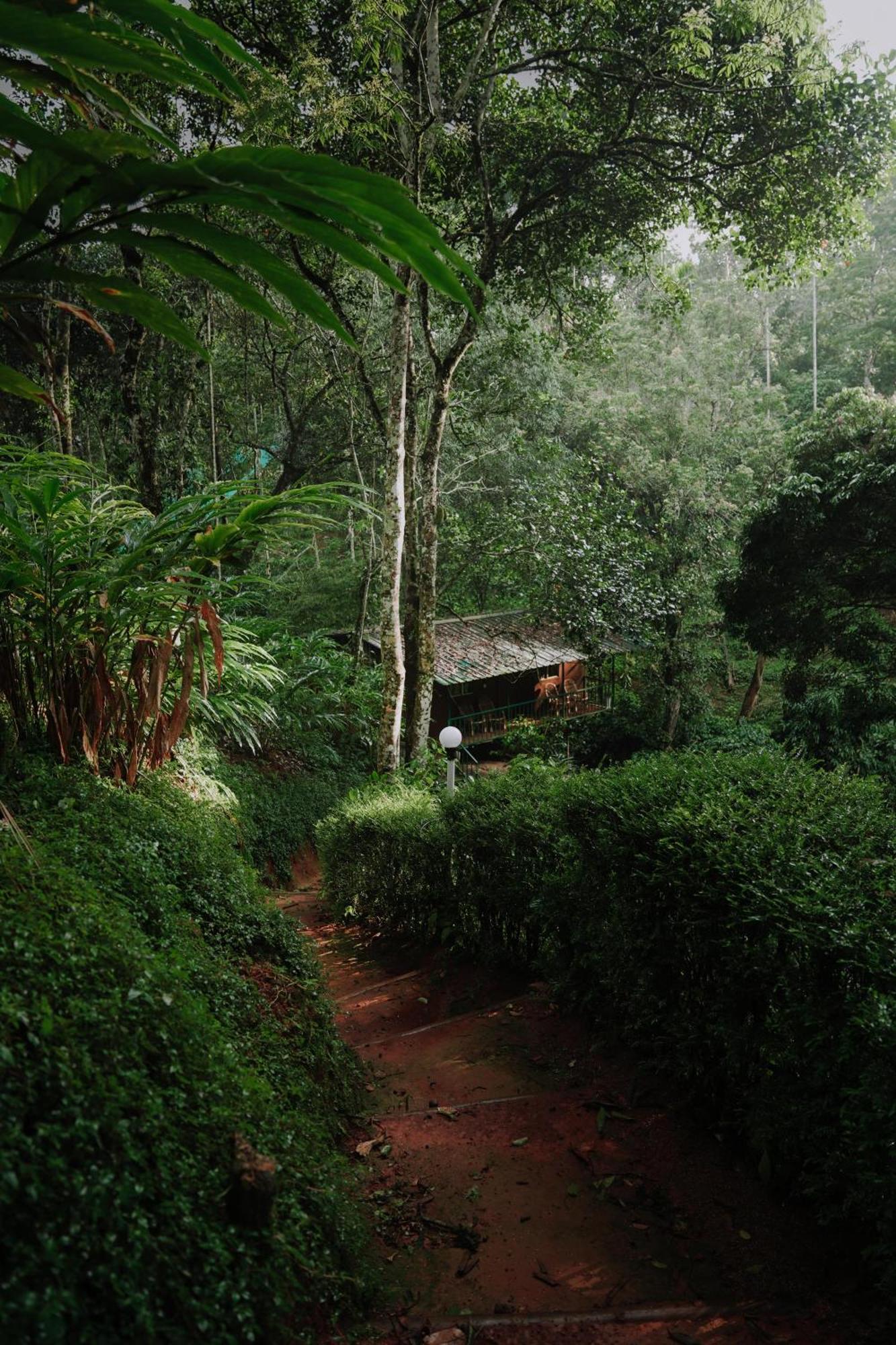Ela Ecoland Nature Retreat Munnar Exterior foto
